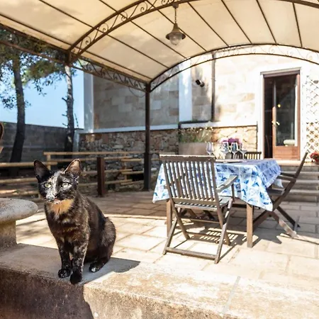 Διαμέρισμα Antonietta